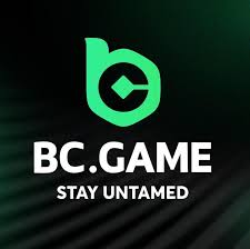 The Ultimate Guide to the BC.Game Mobile App -211908936